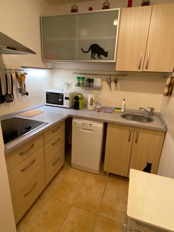 Apartments Piknik Tatranská Lomnica Εξωτερικό φωτογραφία